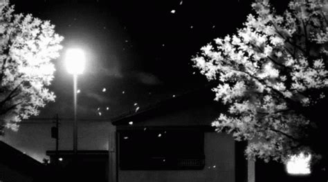 anime gif black and white|black and white gif aesthetic.